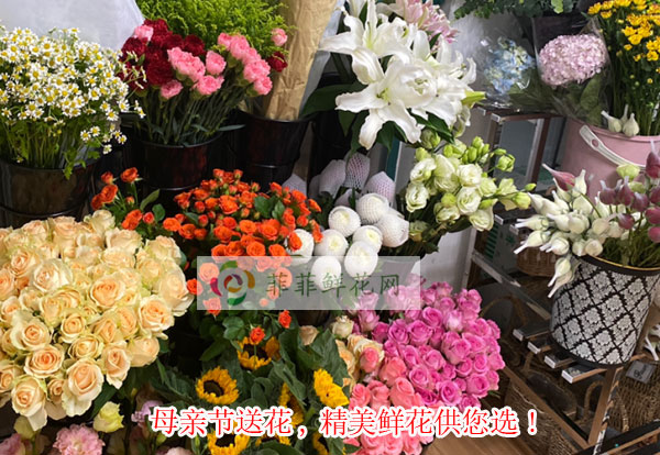2024黔南州瓮安县母亲节送花,黔南州瓮安县精美鲜花供您选!